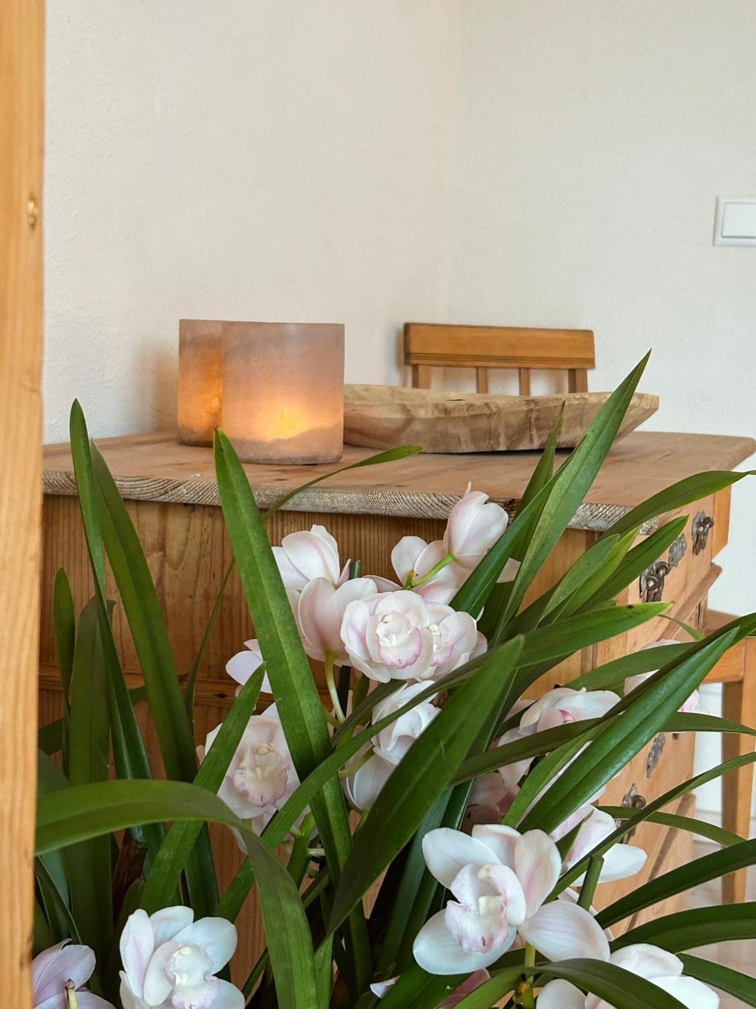 Heimat-Raum Appartement Bayersoien Buitenkant foto